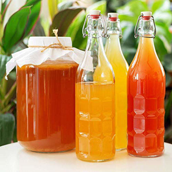 GetUSCart Kombucha Instant Read pH Strips Dispenser pH Range 06 15 ft Roll 180 1" Inch