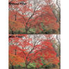 Picture of Hoya 82mm RA54 Red Enhancer Orange Starscape Filter, 1.4 Filter Factor, 0.5 Stop
