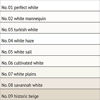 Picture of soto Paint Touch UP (Interior/Exterior) - Non-Toxic Interior Scratch + Scuff Repair: Wall, cabinets, Trim + molding, Furniture, Windows (Size: 1 fl oz, Sheen: Matte, Color: No. 09 Historic Beige)