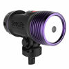 Picture of Sea Dragon Fluoro-Dual Beam