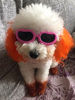 Picture of Enjoying Dog Goggles - Small Dog Sunglasses Waterproof Windproof UV Protection for Doggy Puppy Cat - Pink