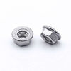 Picture of 1/4-20 Serrated Flange Hex Lock Nuts, Bright Finish304 Stainless Steel 18-8, Pack of 25
