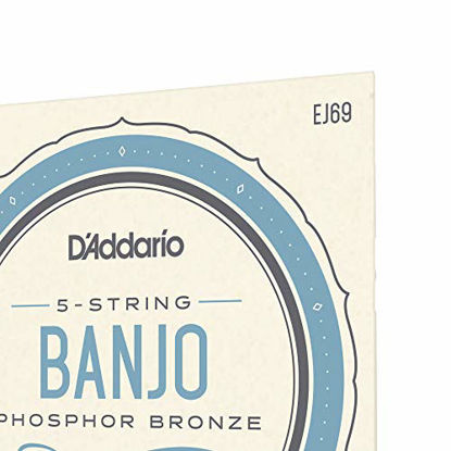 Picture of D'Addario EJ69 Phosphor Bronze 5-String Banjo Strings, Light, 9-20