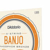 Picture of D'Addario Banjo (EJ55)