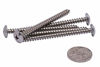 Picture of #10 X 2-1/2" Stainless Truss Head Phillips Wood Screw (25pc) 18-8 (304) Stainless Steel Screws by Bolt Dropper