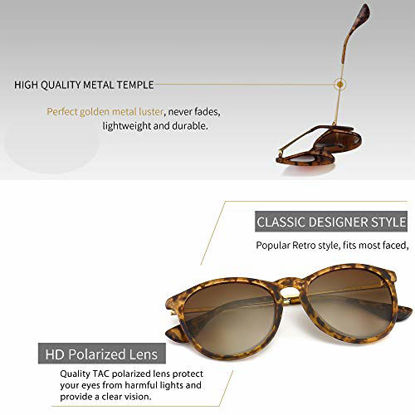 Picture of SUNGAIT Vintage Round Sunglasses for Women Men Girl Classic Retro Designer Style (Polarized Brown Gradient Lens/Amber Frame(Matte Finish)) 1567PG HPKC