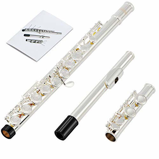 Picture of Eastar EFL-2 Open/Close Hole C Flutes 16 Keys Silver Plated Beginner Flute Set with Fingering Chart, Hard Case, Cleaning Rod, Cloth, Flute Swab, Screwdriver and Gloves