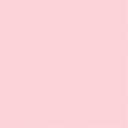 Picture of Rust-Oleum 249119 Painter's Touch 2X Ultra Cover, 12 Oz, Gloss Candy Pink