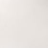 Picture of Winsor & Newton Professional Water Colour Paint, Half Pan, Titanium White