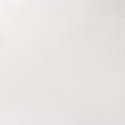 Picture of Winsor & Newton Professional Water Colour Paint, Half Pan, Titanium White
