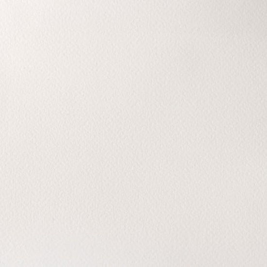 Picture of Winsor & Newton Professional Water Colour Paint, Half Pan, Titanium White