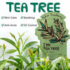 Picture of TONYMOLY I'm Real Tea Tree Skin Calming Mask Sheet, Pack of 1
