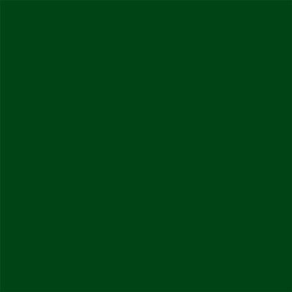 Picture of Rust-Oleum 1938730 Painter's Touch Latex Paint, Half Pint, Gloss Hunter Green