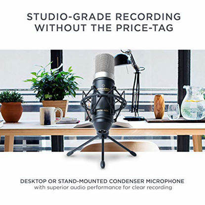 Picture of Marantz Pro MPM1000 - Studio Recording Condenser Microphone with Shockmount, Desktop Stand and Cable - Perfect for Podcasting and Voiceover Projects