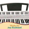 Picture of Piano and Keyboard Note Chart, Use Behind the Keys, Ideal Visual Tool for Beginners Learning Piano or Keyboard, Easy to Set Up, for any Medium to Full Size Piano or Keyboard, Cover Four Octaves