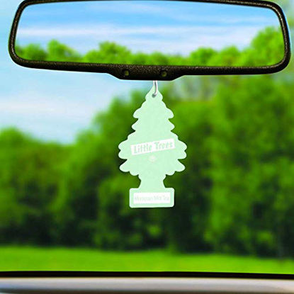 Picture of Little Trees Car Air Freshener 6-Pack (Moroccan Mint Tea)