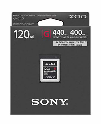 Picture of Sony Professional XQD G series 120GB Memory Card (QD-G120F/J)