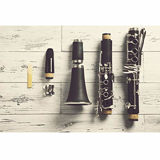 Picture of Suewio Bb Clarinet Traditional Reeds, Strength 2.5, 10 Pack with Portable Case