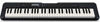 Picture of Casio CT-S300 61-Key Premium Keyboard Package with Headphones, Stand, Power Supply, 6-Foot USB Cable and eMedia Instructional Software (CAS CTS300 EPA)