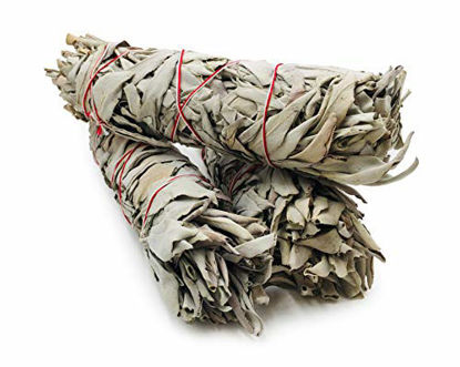 Picture of Alternative Imagination Premium, 7 Inch California White Sage Smudge Sticks.