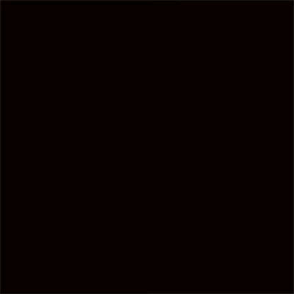 Picture of Rust-Oleum 249122 Painter's Touch 2X Ultra Cover, 12 Oz, Gloss Black