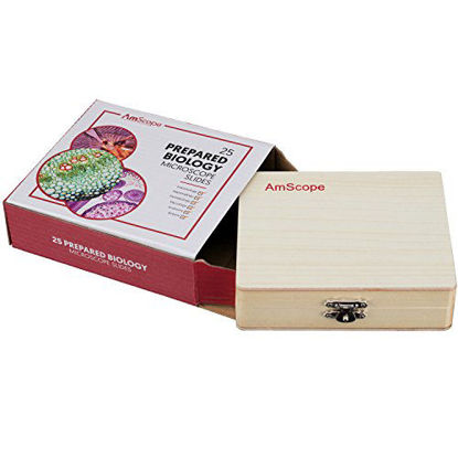 Picture of AmScope PS25 Prepared Microscope Slide Set for Basic Biological Science Education, 25 Slides, Includes Fitted Wooden Case Brown