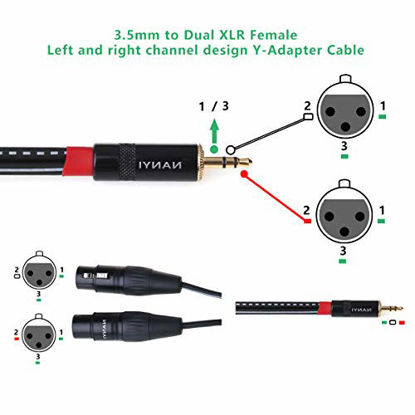 Picture of NANYI XLR to 3.5mm Splitter Cables, 1/8Inch TRS Stereo Male to Two XLR Female Interconnect Audio Microphone Cable, Y Splitter Adapter Cable0.5M (1.6Feet)