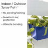 Picture of Krylon K02705007 Fusion All-In-One Spray Paint for Indoor/Outdoor Use, Gloss Clear