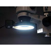 Picture of AmScope FRL12 12W Microscope Fluorescent Ring Light
