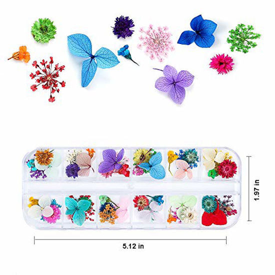 Picture of iFancer 108 Pcs Dried Flowers for Resin Nail Art 62 Colors 3D Dry Flowers for Nails 2 Boxes Small Tiny Dried Flowers for Nail Art Little Pressed Real Natural Flower Nail Art Design Decoration Supplies