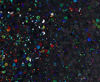 Picture of 10 Grams - Black Holographic Chunky Glitter - Cosmetic Grade - Makeup Face Body Nail Festival Rave Beauty Craft