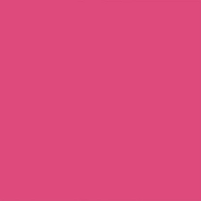 Picture of Rust-Oleum 249123 Painter's Touch 2X Ultra Cover, 12 Oz, Gloss Berry Pink