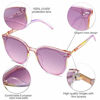 Picture of SOJOS Classic Round Retro Plastic Frame Vintage Large Sunglasses BLOSSOM SJ2067 with Rainbow Frame/Gradient Purple Top and Pink Bottom Lens