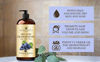Picture of Handcraft Grapeseed Oil - 100% Pure and Natural - Premium Therapeutic Grade Carrier Oil for Aromatherapy, Massage, Moisturizing Skin and Hair Huge - 16 fl. oz - Packaging May Vary