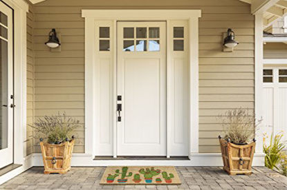 Picture of DII Indoor/Outdoor Natural Coir Fiber Spring/Summer Doormat, 18x30, Cactus