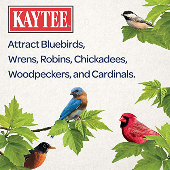 Picture of Kaytee Dried Mealworms For Chickens And Wild Birds