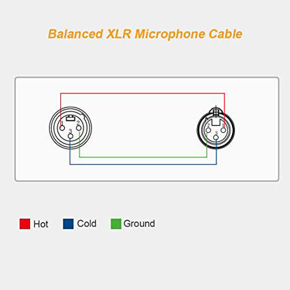 Picture of XLR Cable [50FT], CableCreation XLR Male to XLR Female Balanced 3 PIN XLR Microphone Cable Compatible with Shure SM Microphone, Behringer, Speaker Systems, Radio Station and More, Black