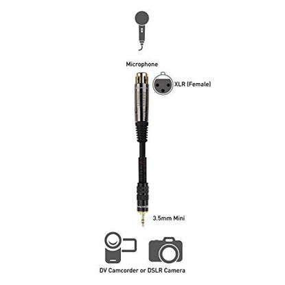 Picture of Cable Matters (1/8 Inch) Unbalanced 3.5mm to XLR Cable (XLR to 3.5mm Cable) Male to Female 6 Feet