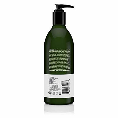 Picture of Avalon Organics Peppermint Hand And Body Lotion, 12-Ounce Bottle (Pack of 2)