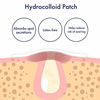 Picture of PanOxyl PM Overnight Spot Patches, Advanced Hydrocolloid Healing Technology, 40 Count