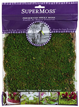 Picture of SuperMoss (21509) Sheet Moss Preserved, Fresh Green, 2oz