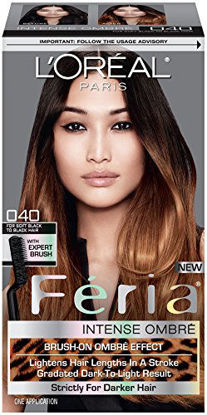 Picture of L'Oreal Paris Feria Brush-On Intense Ombre Effect Hair Color, 040 For Soft Black to Black Hair