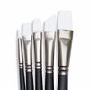 Picture of Angelus Paint Brush Set Round Flat Angular Artist Acrylic Paint Brush Set Shoe paint Brush set (5 pcs)