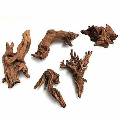 Picture of 5Pcs Driftwood Branches Aquarium Wood Decoration Natural Fish Tank Habitat Decor Wood for Lizard Assorted Size,Small