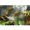 Picture of 5Pcs Driftwood Branches Aquarium Wood Decoration Natural Fish Tank Habitat Decor Wood for Lizard Assorted Size,Small