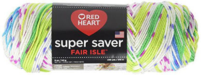Picture of RED HEART E300F.7255 Super Saver Fair Isle Yarn, Parrot, Parrott