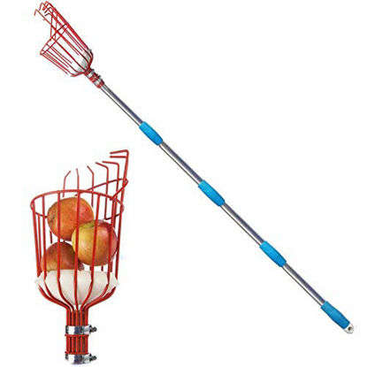 Picture of GLORYA Fruit Picker - 8ft Length Adjustable Lightweight Fruit Catcher Tool - Stainless Steel Apple Orange Pear Mango and Other Fruit Tree Picker Pole with Basket