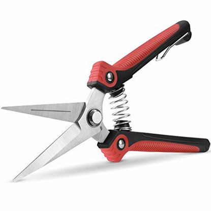 Picture of WYF Pruning Scissors, Professional Garden Shears - Straight Stainless Steel Blades - Sharp Gardening Hand Pruner for Garden Harvesting Fruits, Vegetables, Trimming Flowers and Plants, 8.1IN(Red)