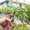 Picture of WYF Pruning Scissors, Professional Garden Shears - Straight Stainless Steel Blades - Sharp Gardening Hand Pruner for Garden Harvesting Fruits, Vegetables, Trimming Flowers and Plants, 8.1IN(Red)
