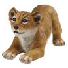 Picture of Design Toscano QM28733 Lion Cub of The Sahara Animal Statue: Tibesti, Full Color